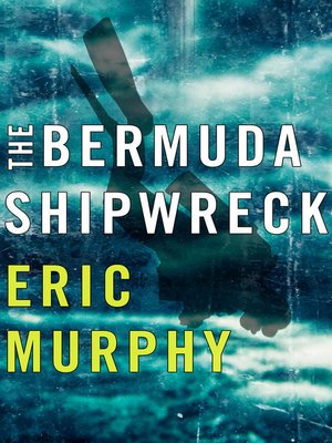 cover image of The Bermuda Shipwreck